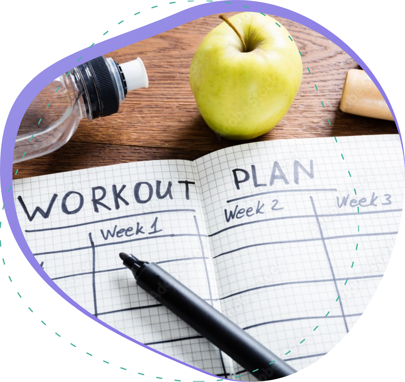 meal plan